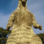 外出活動🦕のサムネイル