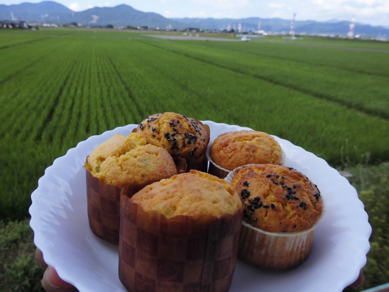 f:id:seiwa-kai:20130802151031j:plain f:id:seiwa-kai:20130802151031j:plain