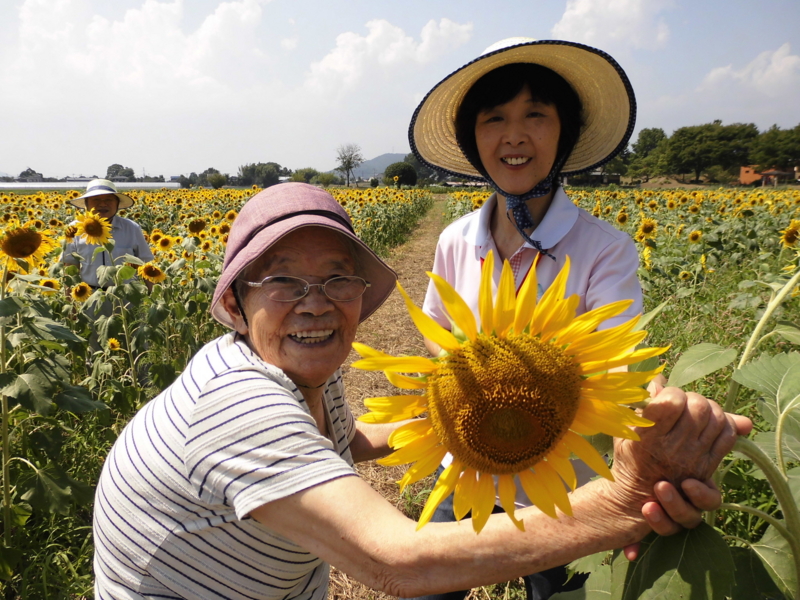 f:id:seiwa-kai:20130810141733j:plain f:id:seiwa-kai:20130810141923j:plain