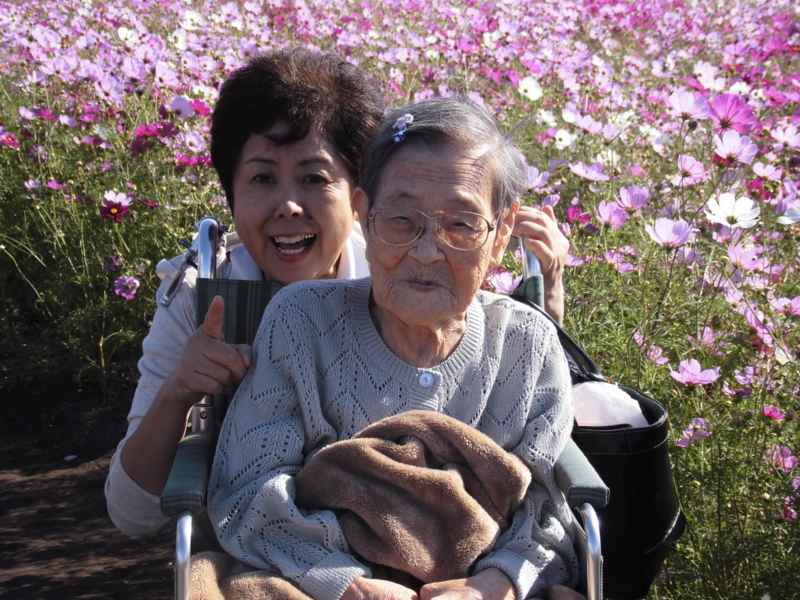 f:id:seiwa-kai:20131021141837j:plain f:id:seiwa-kai:20131021141746j:plain