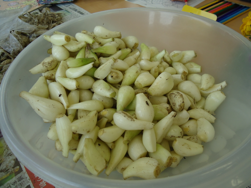 f:id:seiwa-kai:20140627141658j:plain f:id:seiwa-kai:20140627142348j:plain