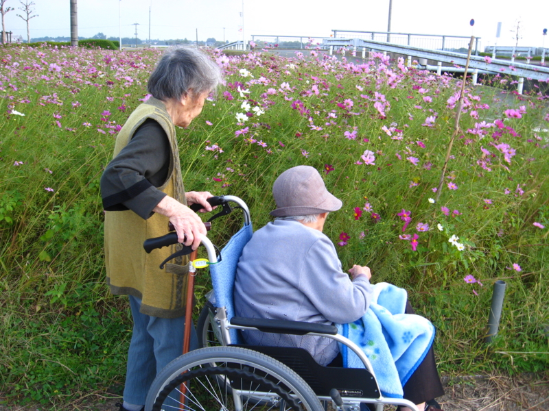 f:id:seiwa-kai:20141016141804j:plain