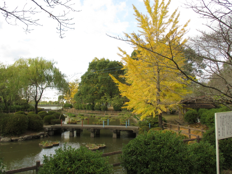 f:id:seiwa-kai:20141106151612j:plain