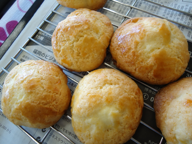 f:id:seiwa-kai:20150314151425j:plain f:id:seiwa-kai:20150314151425j:plain