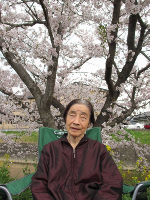 f:id:seiwa-kai:20150331144528j:plain