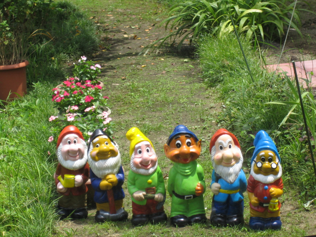 f:id:seiwa-kai:20150724131451j:plain f:id:seiwa-kai:20150724131451j:plain