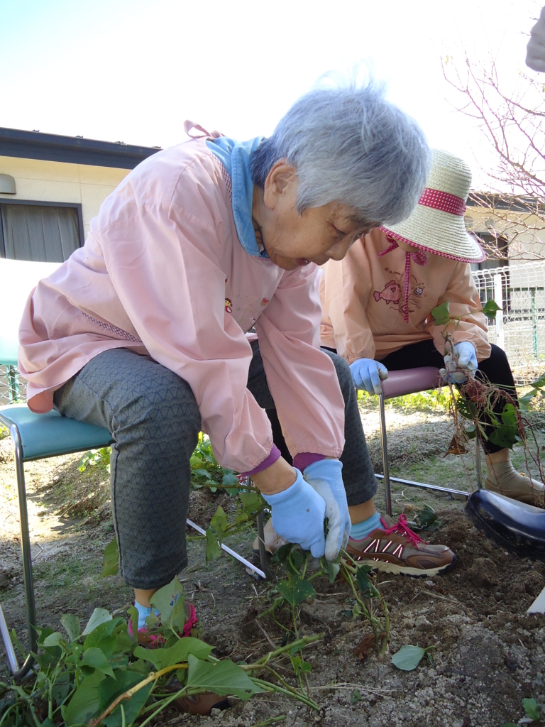 f:id:seiwa-kai:20151006141241j:plain f:id:seiwa-kai:20151006141317j:plain