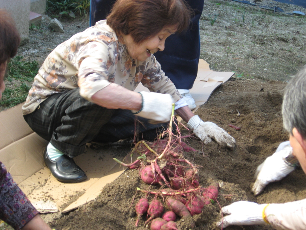 f:id:seiwa-kai:20151006141342j:plain f:id:seiwa-kai:20151006141342j:plain