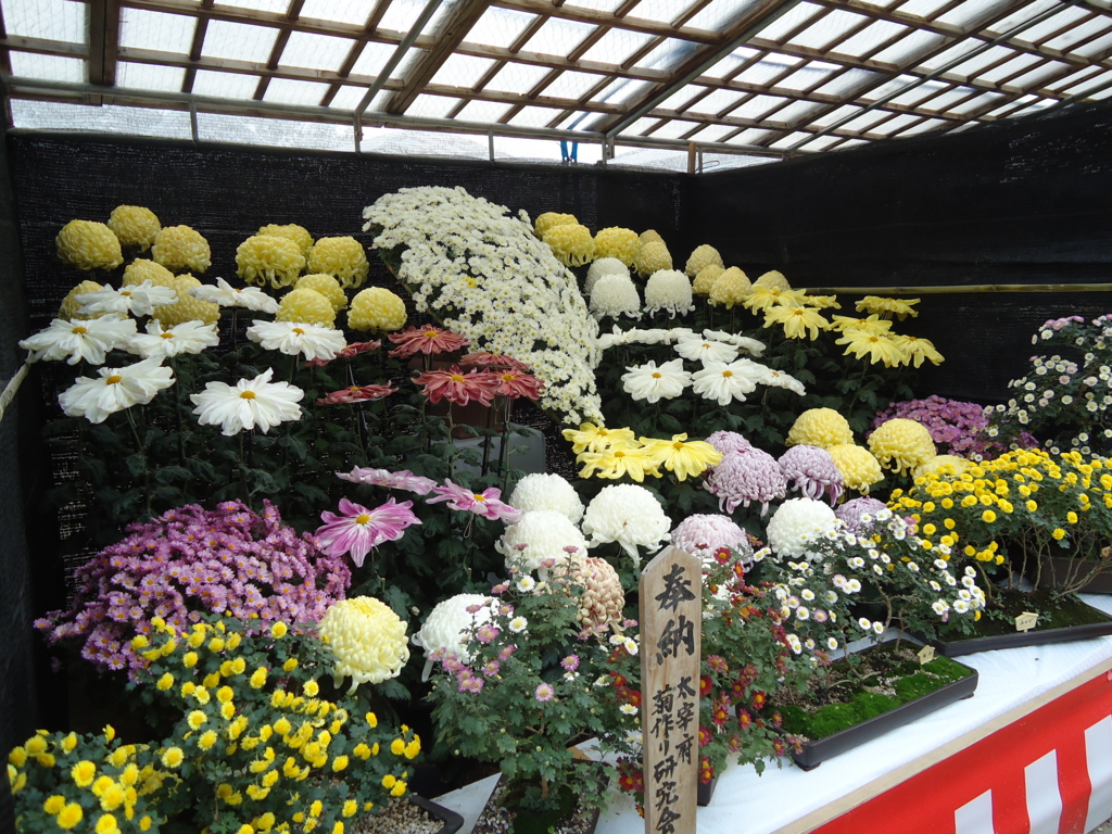 f:id:seiwa-kai:20151110135147j:plain f:id:seiwa-kai:20151110135147j:plain