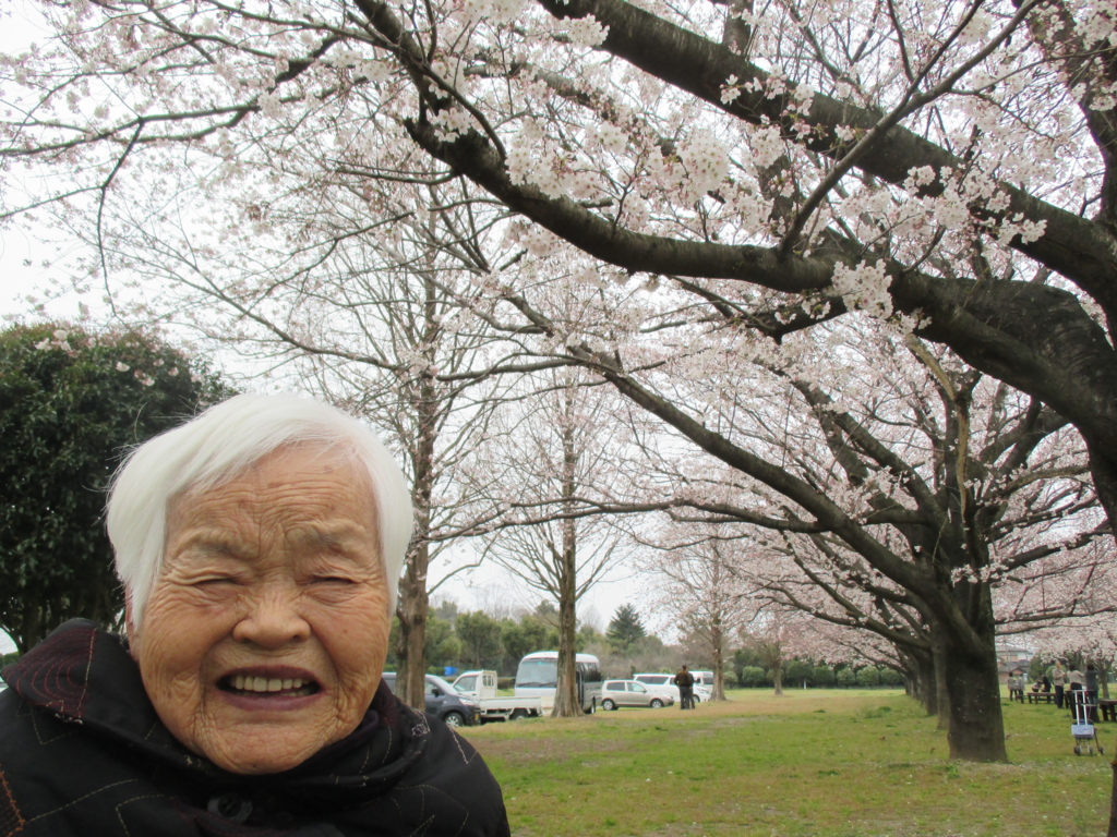 f:id:seiwa-kai:20160329145224j:plain f:id:seiwa-kai:20160329145224j:plain