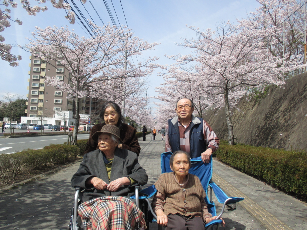 f:id:seiwa-kai:20160402110530j:plain f:id:seiwa-kai:20160402110530j:plain