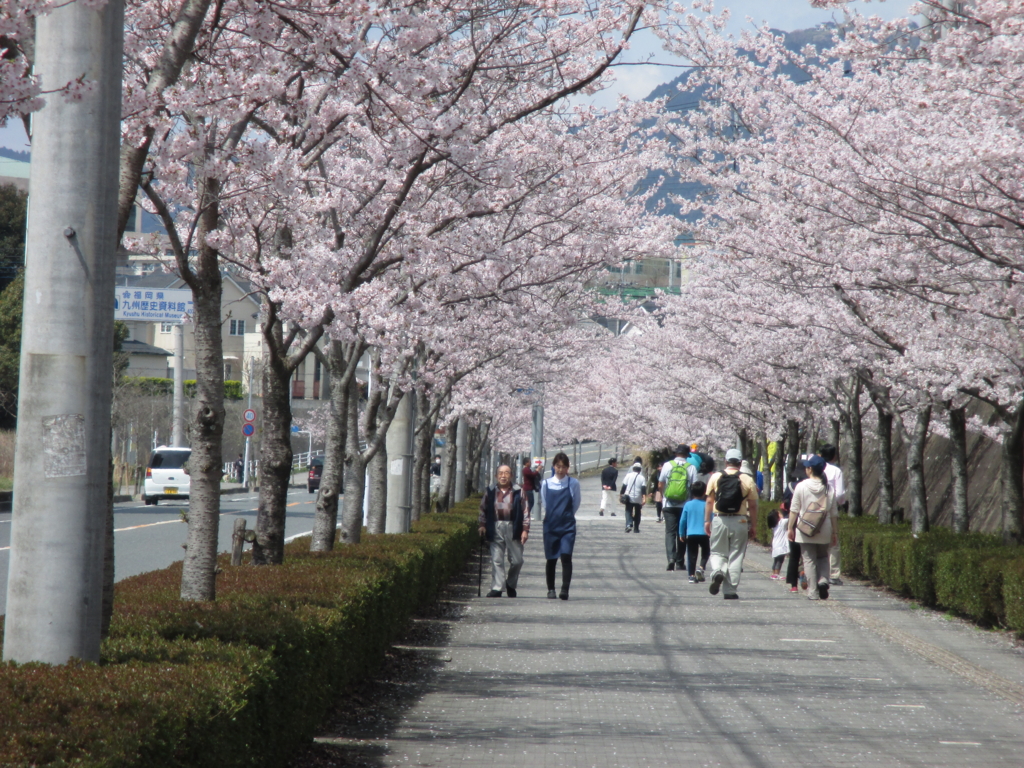 f:id:seiwa-kai:20160402112016j:plain f:id:seiwa-kai:20160402112016j:plain