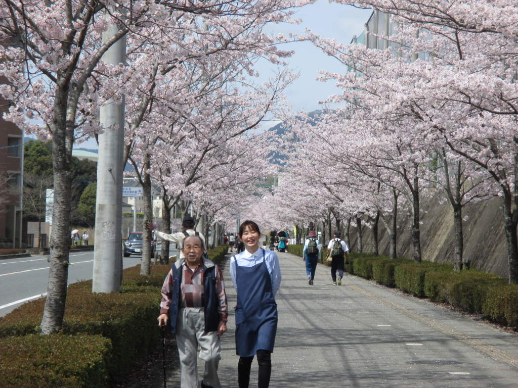 f:id:seiwa-kai:20160402112126j:plain f:id:seiwa-kai:20160402112126j:plain