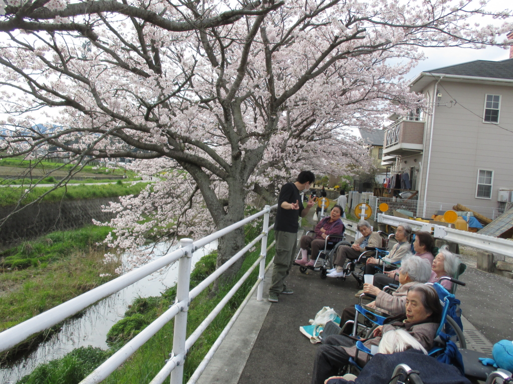 f:id:seiwa-kai:20160402152229j:plain f:id:seiwa-kai:20160402152229j:plain