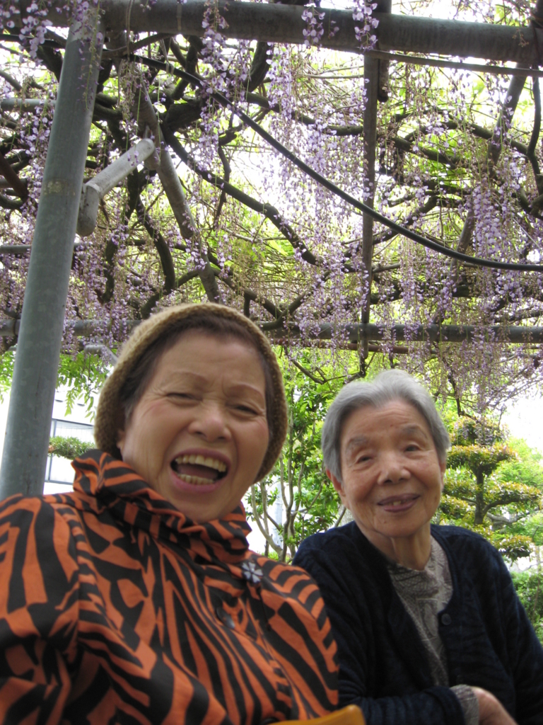 f:id:seiwa-kai:20160425145112j:plain f:id:seiwa-kai:20160425145112j:plain