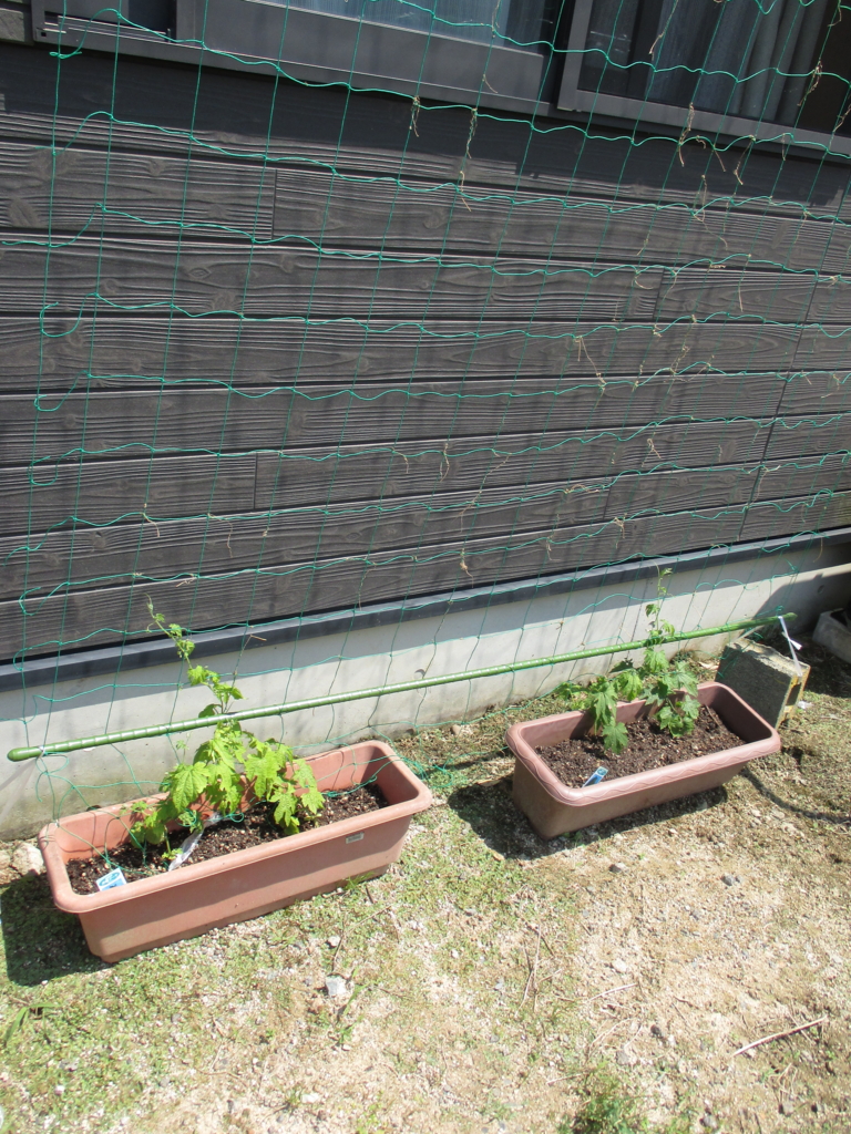 f:id:seiwa-kai:20160523135856j:plain f:id:seiwa-kai:20160523135856j:plain