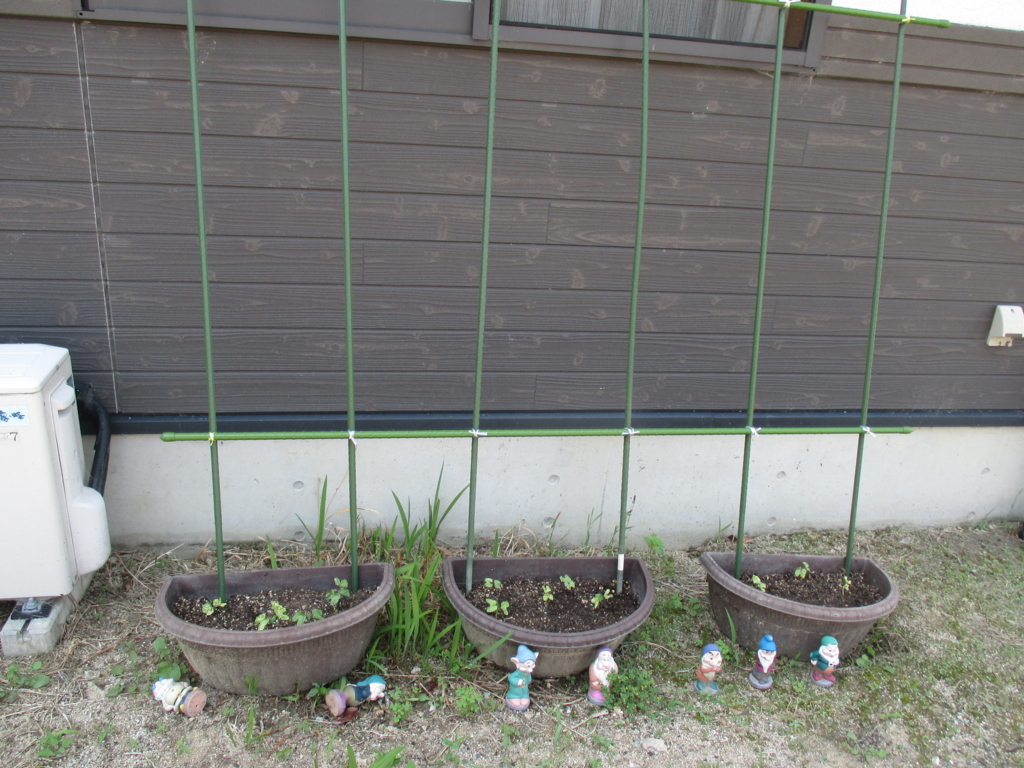 f:id:seiwa-kai:20160523135913j:plain f:id:seiwa-kai:20160523135913j:plain