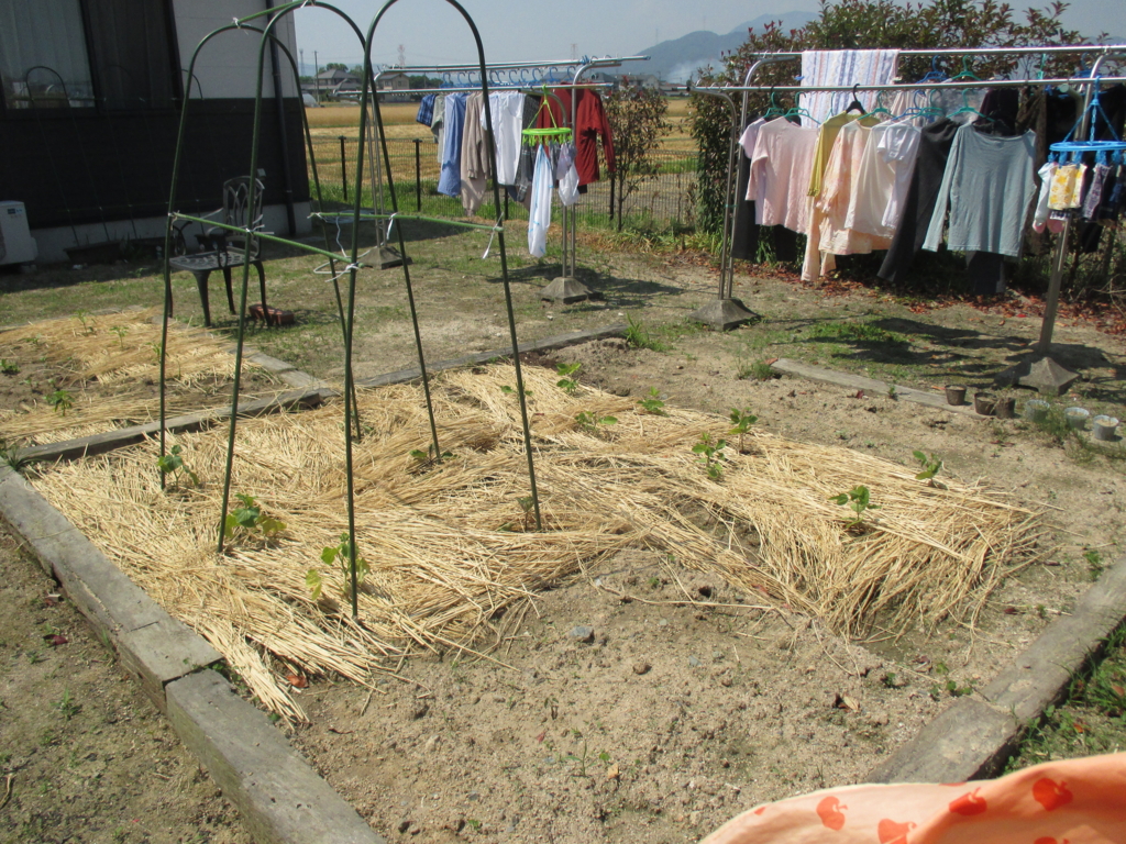 f:id:seiwa-kai:20160523140113j:plain f:id:seiwa-kai:20160523140113j:plain