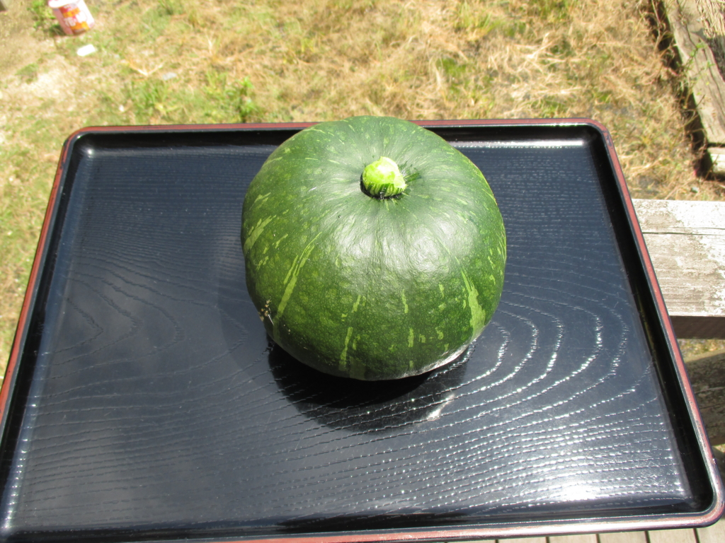 f:id:seiwa-kai:20160701111124j:plain f:id:seiwa-kai:20160701111124j:plain