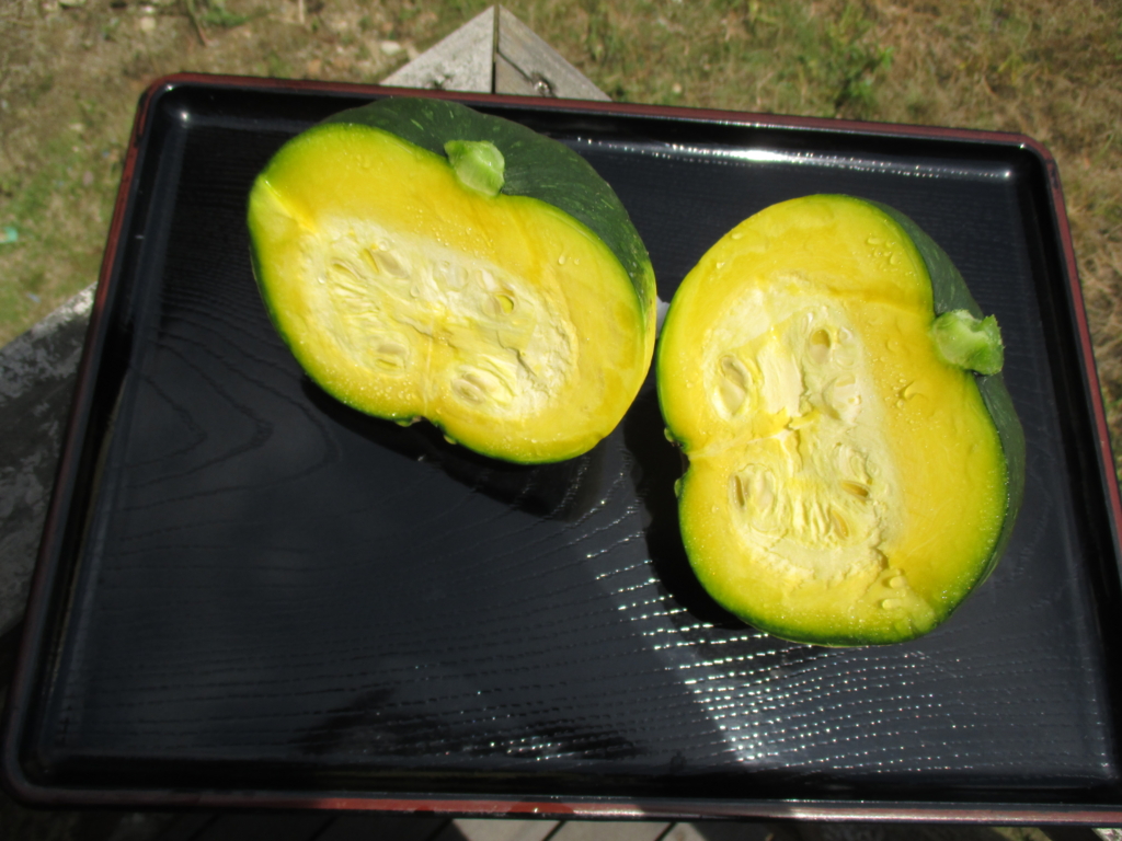 f:id:seiwa-kai:20160701111601j:plain f:id:seiwa-kai:20160701111601j:plain