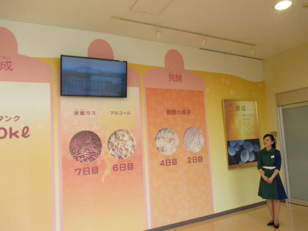 f:id:seiwa-kai:20160726132254j:plain f:id:seiwa-kai:20160726132254j:plain