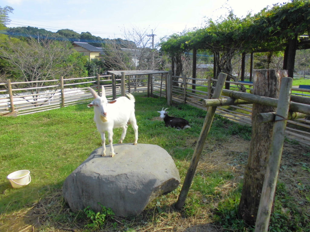 f:id:seiwa-kai:20161006142606j:plain