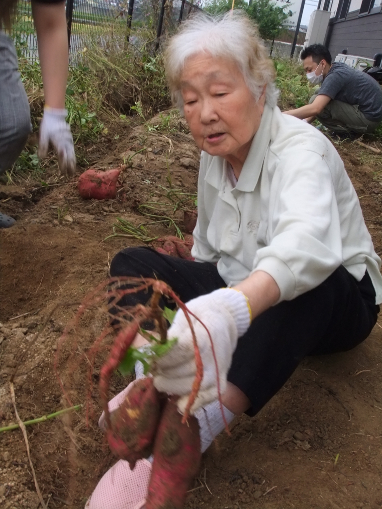 f:id:seiwa-kai:20161019145950j:plain f:id:seiwa-kai:20161019145950j:plain