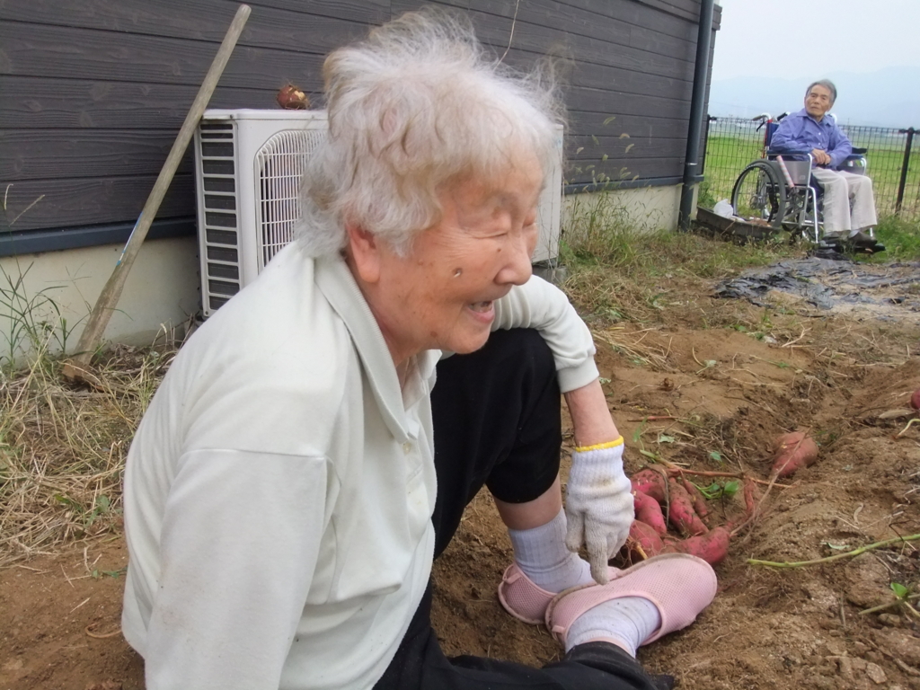 f:id:seiwa-kai:20161019150213j:plain f:id:seiwa-kai:20161019150213j:plain