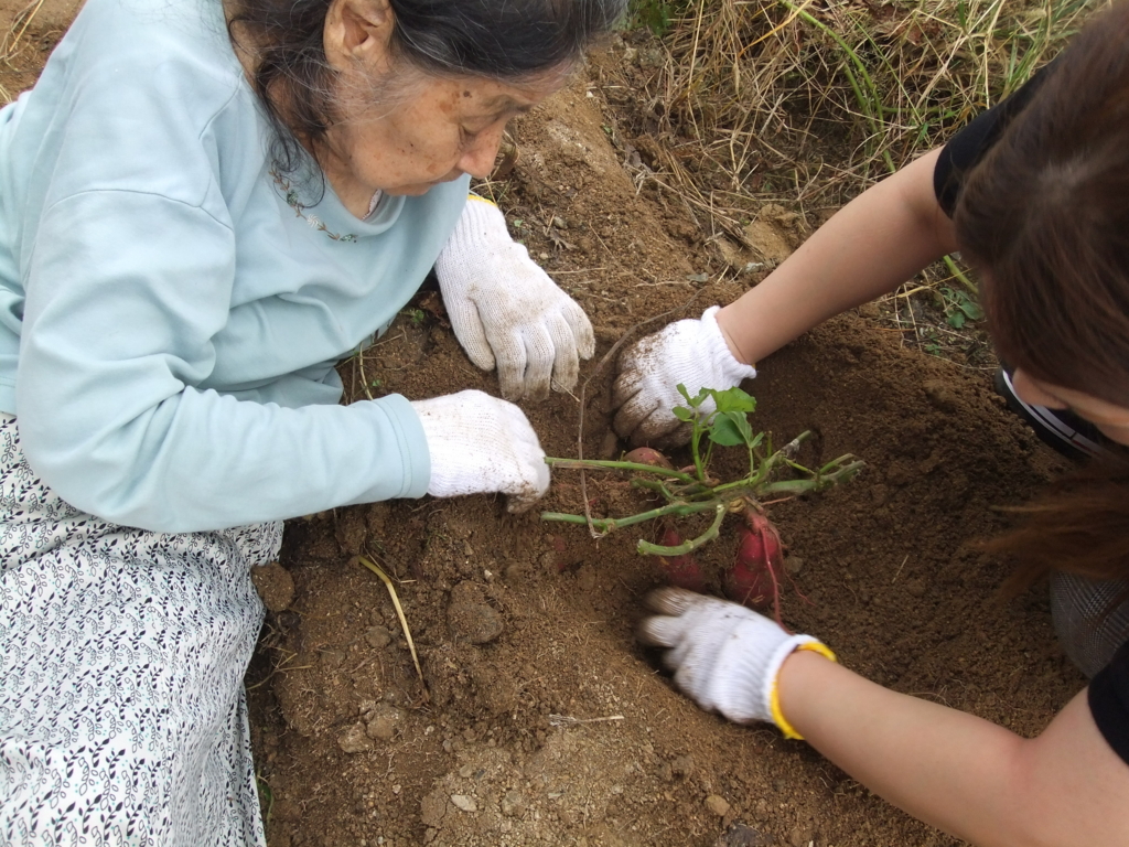 f:id:seiwa-kai:20161019152907j:plain f:id:seiwa-kai:20161019152907j:plain