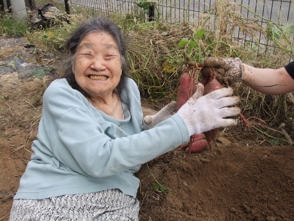 f:id:seiwa-kai:20161019153102j:plain f:id:seiwa-kai:20161019153102j:plain