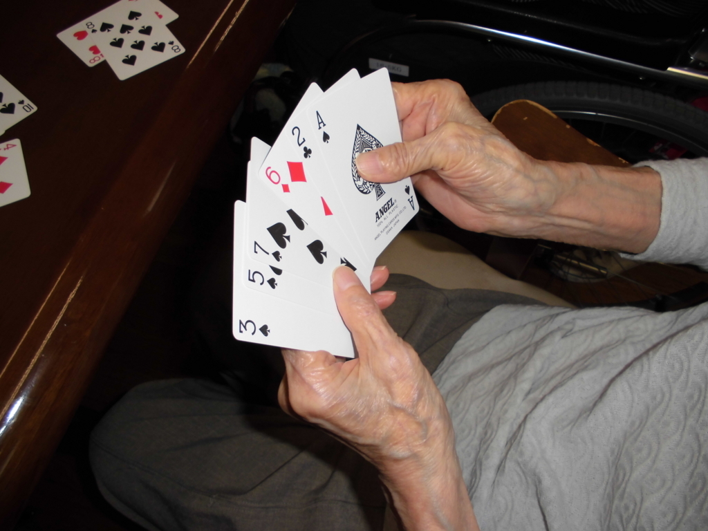 f:id:seiwa-kai:20170120223506j:plain f:id:seiwa-kai:20170120223506j:plain