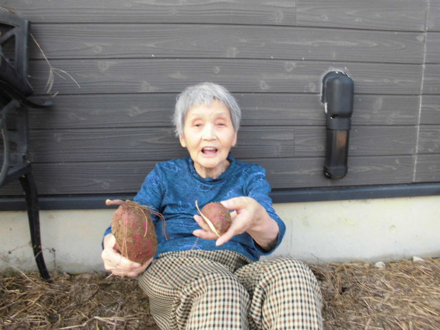 f:id:seiwa-kai:20170302222038j:plain