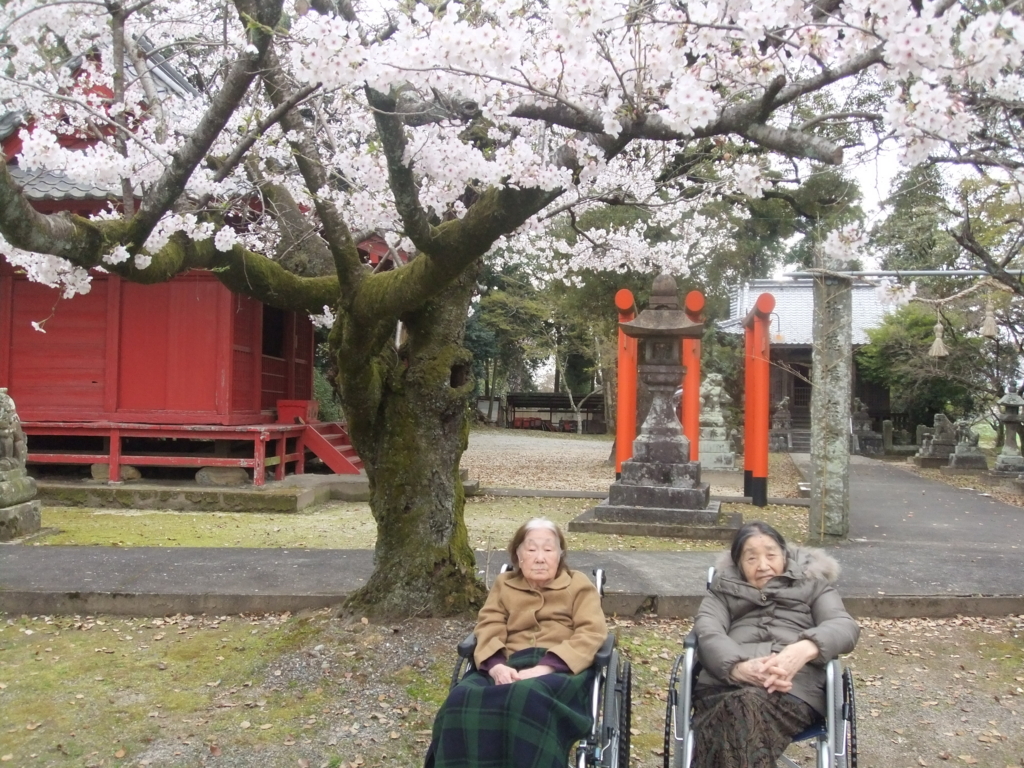 f:id:seiwa-kai:20170405141049j:plain f:id:seiwa-kai:20170405141049j:plain