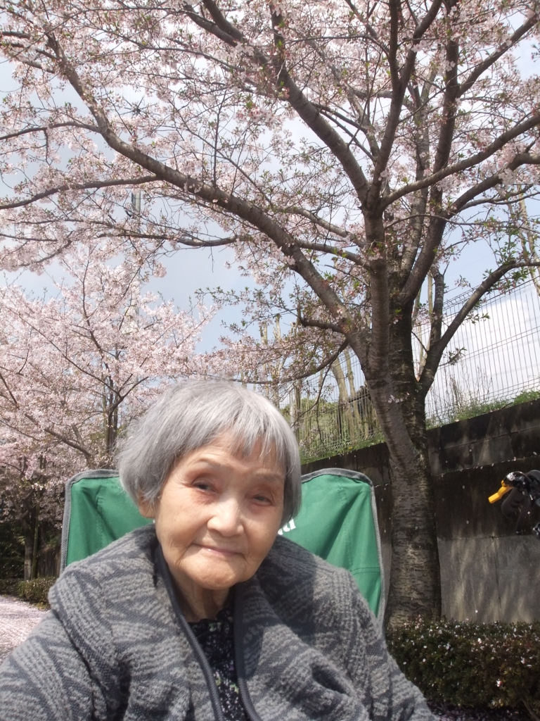 f:id:seiwa-kai:20170412110740j:plain f:id:seiwa-kai:20170412110740j:plain