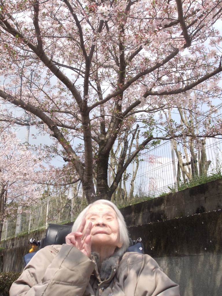 f:id:seiwa-kai:20170412110755j:plain f:id:seiwa-kai:20170412110755j:plain