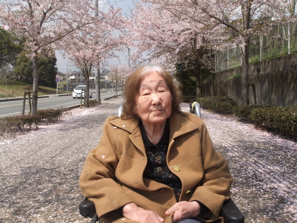 f:id:seiwa-kai:20170412111153j:plain f:id:seiwa-kai:20170412111153j:plain