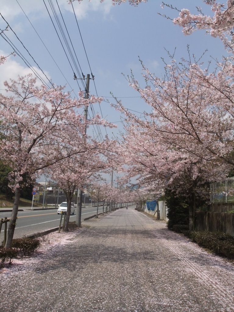 f:id:seiwa-kai:20170412111255j:plain f:id:seiwa-kai:20170412111255j:plain