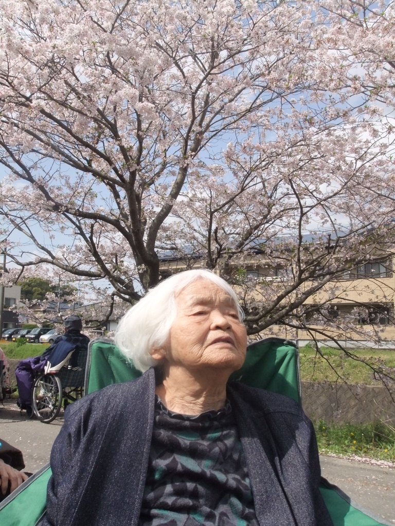 f:id:seiwa-kai:20170412143009j:plain f:id:seiwa-kai:20170412143009j:plain