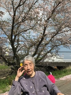 f:id:seiwa-kai:20170412144332j:plain f:id:seiwa-kai:20170412144332j:plain