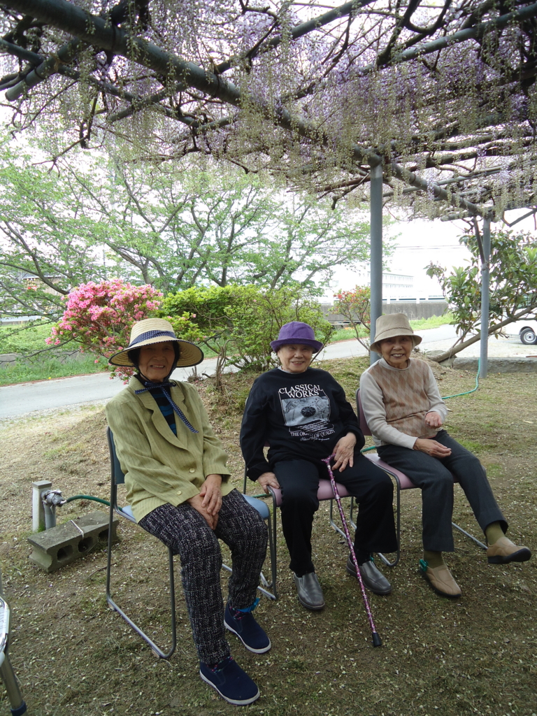 f:id:seiwa-kai:20170425135853j:plain f:id:seiwa-kai:20170425135853j:plain