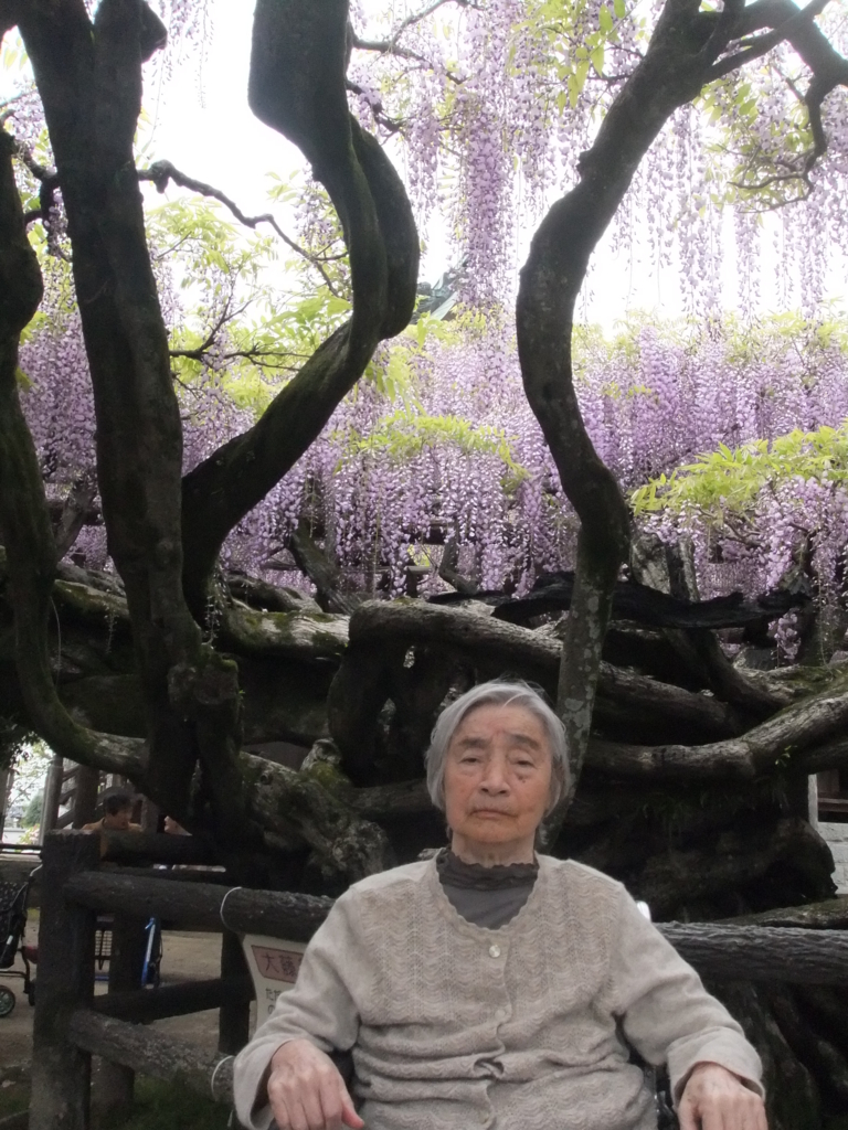 f:id:seiwa-kai:20170427142914j:plain f:id:seiwa-kai:20170427142914j:plain