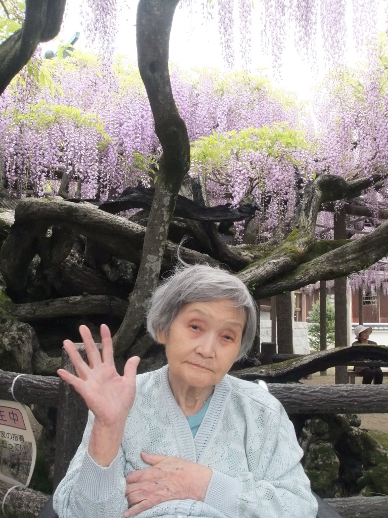 f:id:seiwa-kai:20170427143025j:plain f:id:seiwa-kai:20170427143025j:plain