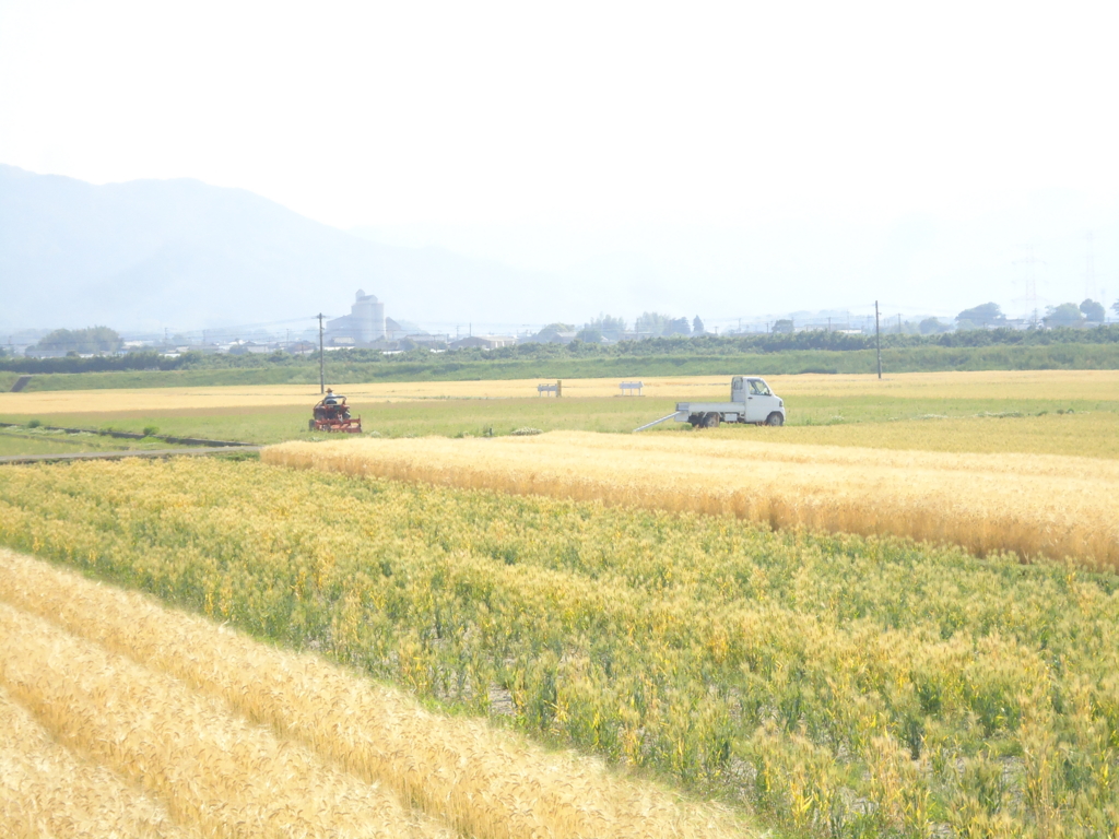 f:id:seiwa-kai:20170519085630j:plain