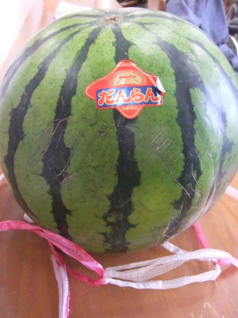 f:id:seiwa-kai:20170616144920j:plain f:id:seiwa-kai:20170616144920j:plain