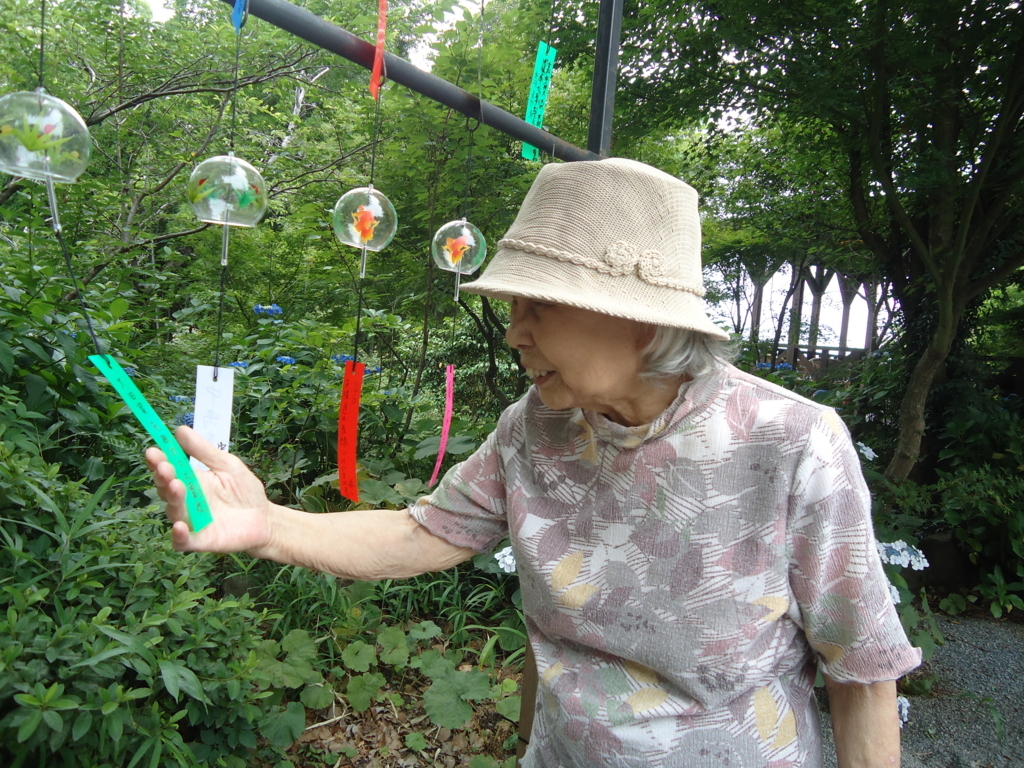 f:id:seiwa-kai:20170623131417j:plain