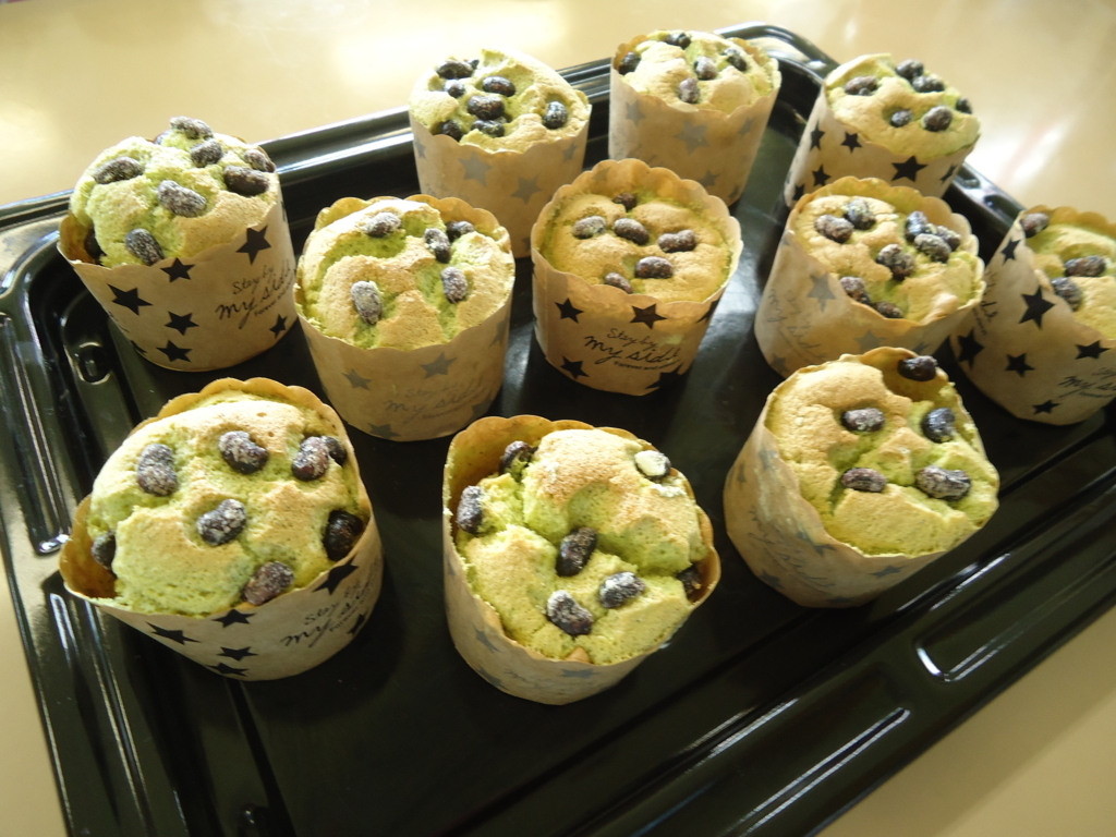 f:id:seiwa-kai:20170811144411j:plain f:id:seiwa-kai:20170811144411j:plain