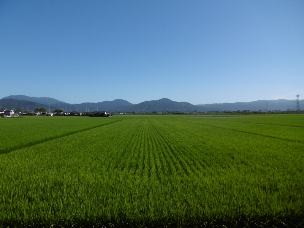 f:id:seiwa-kai:20170822091317j:plain f:id:seiwa-kai:20170822091317j:plain