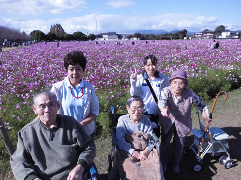 f:id:seiwa-kai:20131021141344j:plain