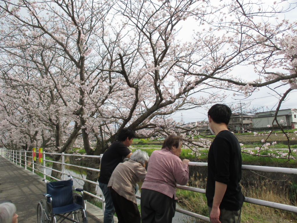 f:id:seiwa-kai:20160402145630j:plain